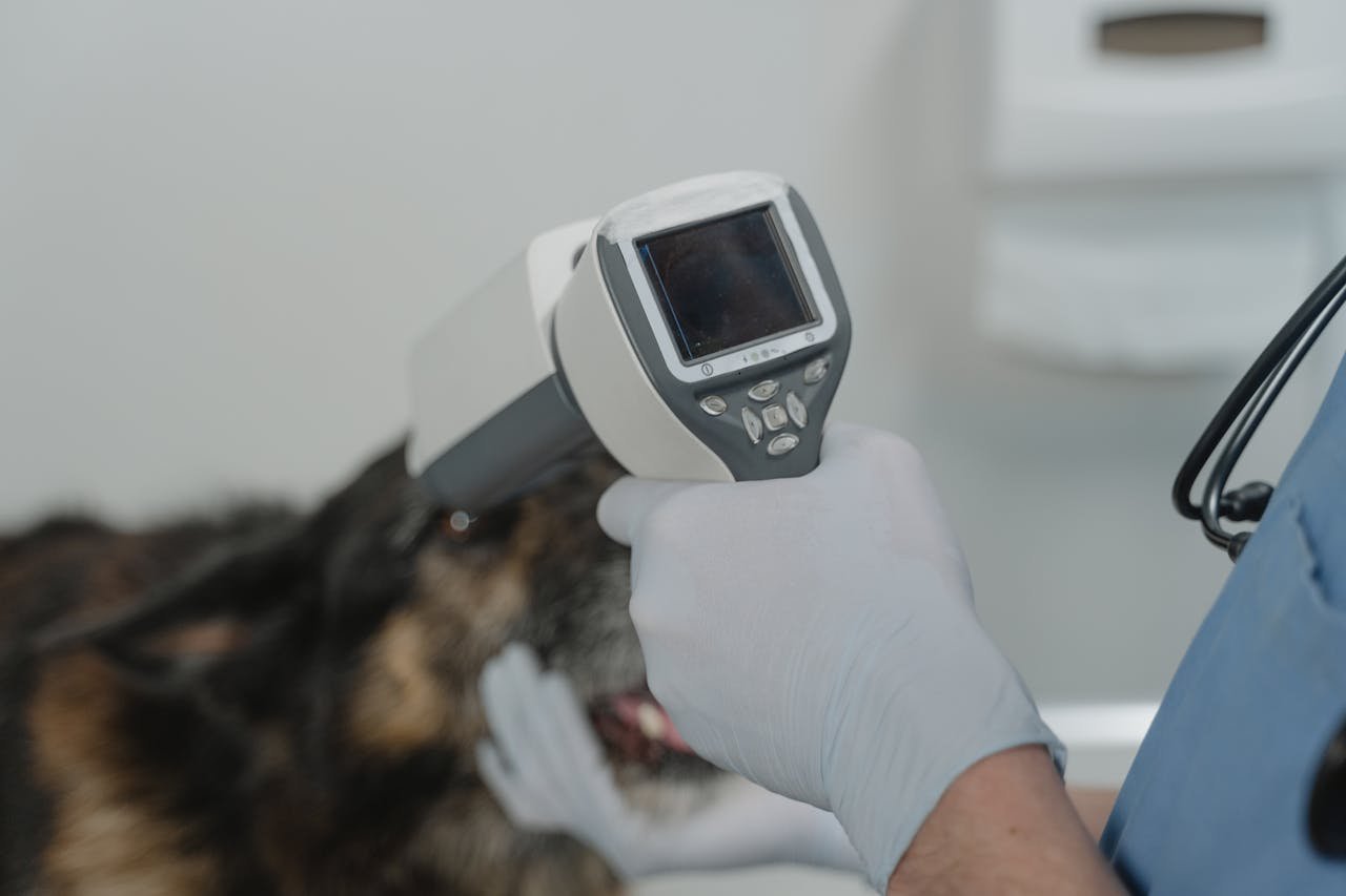 journey-img Vet using diagnostic tool in pet clinic for thorough checkup